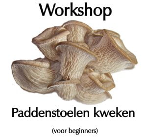 Workshop Paddenstoelen kweken