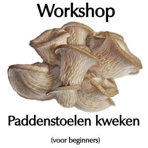 Workshop Paddenstoelen kweken