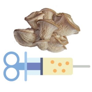 🍄 Gewone oesterzwam - Sporenspuit