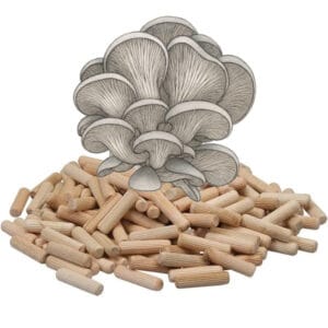 🍄 Oesterzwammen Paddenstoelen pluggen (deuvels)