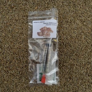 🍄 Gewone oesterzwam - Sporenspuit