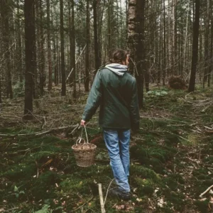 Workshop Eetbare paddenstoelen plukken