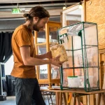 Paddenstoelen kweken: De complete handleiding voor beginners en gevorderden