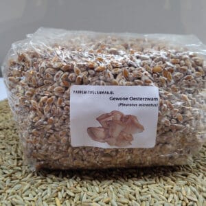 Oesterzwam - Paddenstoelenbroed  1,5 of 3 liter