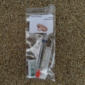 🍄 Shiitake - Sporenspuit