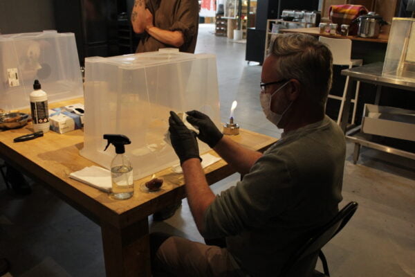 Workshop Magische paddenstoelen kweken (vervlog) - Afbeelding 4