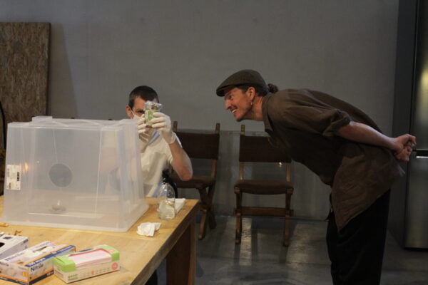 Workshop Magische paddenstoelen kweken (vervlog) - Afbeelding 2