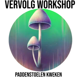 Workshop Magische paddenstoelen kweken (vervlog)