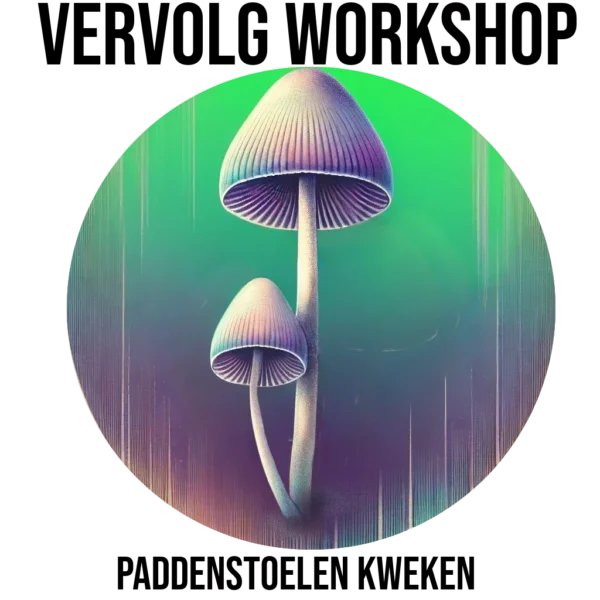 Workshop Magische paddenstoelen kweken (vervlog)