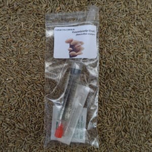 🍄 Fluweelpootje (Enoki) - Sporenspuit