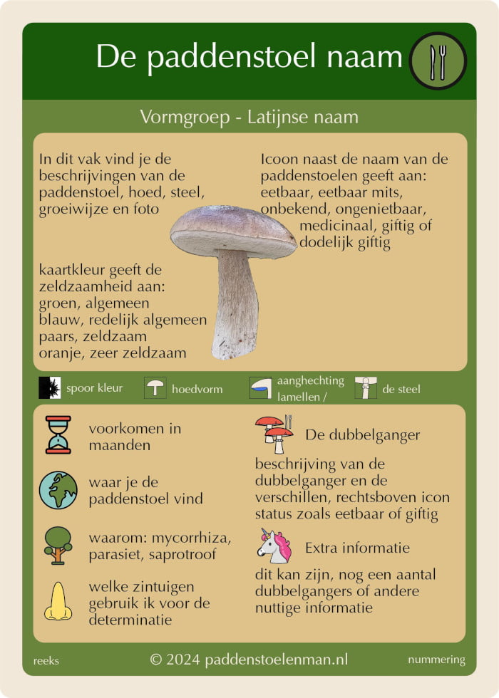Mushroom Card