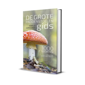 📖 Grote paddenstoelengids voor onderweg