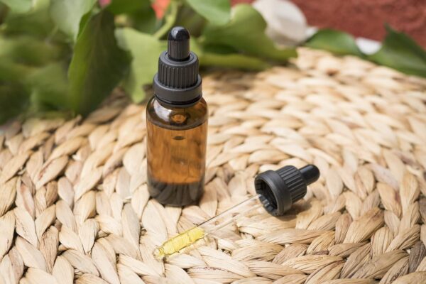 Workshop Medicinale paddenstoelen - Afbeelding 4