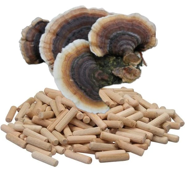 🍄 Elfenbankje - Paddenstoelen pluggen (deuvels)