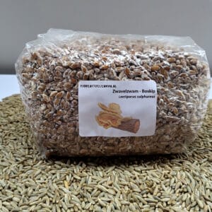 Boskip, zwavelzwam, chicken of the woods – topkwaliteit paddenstoelenbroed